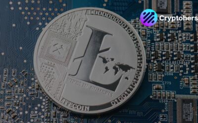 Litecoin wallet recovery – How to get my LTC back