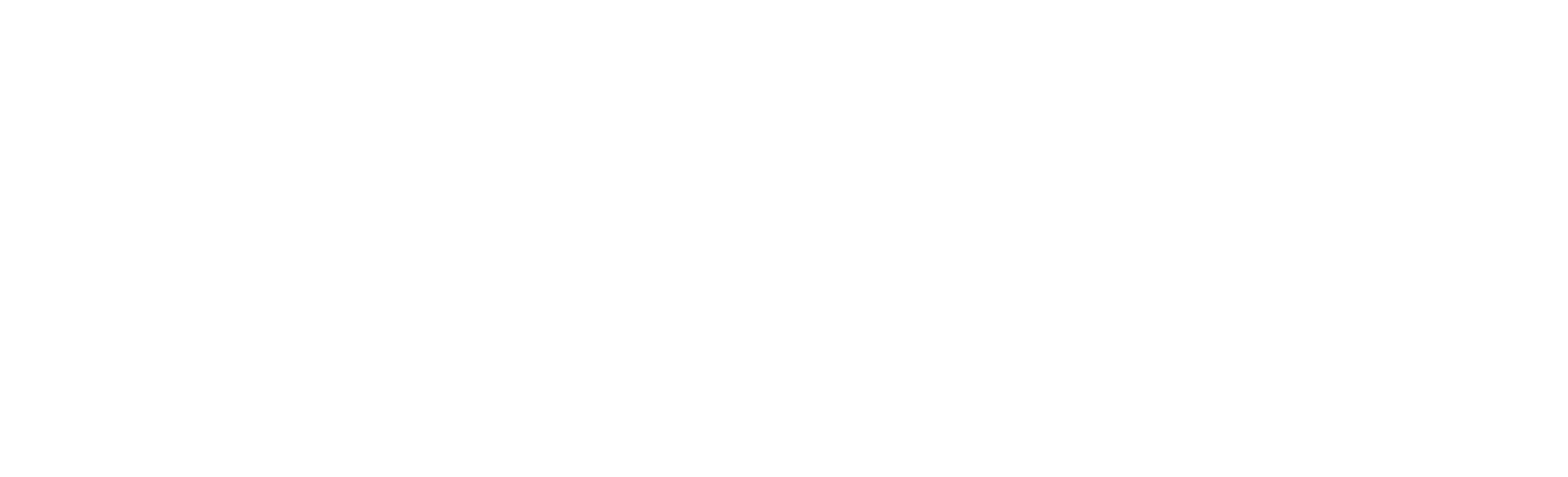 CryptoRecovers - Logo (White)
